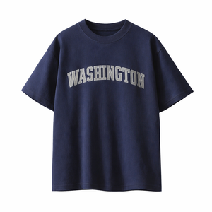 Washington State Pride T-Shirt in Navy / Light Gray
