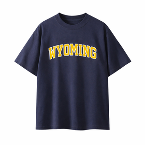 Wyoming State Pride T-Shirt in Navy / Gold