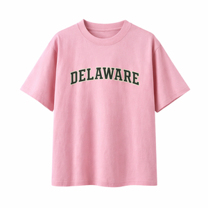 Delaware State Pride T-Shirt in Pink / Charcoal