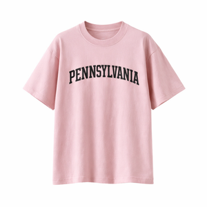 Pennsylvania State Pride T-Shirt in Pink / Charcoal