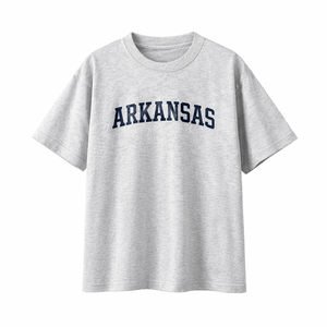 Arkansas State Pride T-Shirt in White Gray / Navy