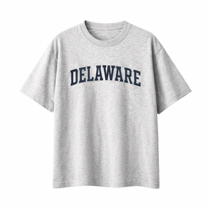 Delaware State Pride T-Shirt in White Gray / Navy