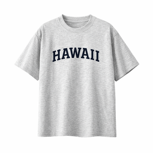 Hawaii State Pride T-Shirt in White Gray / Navy
