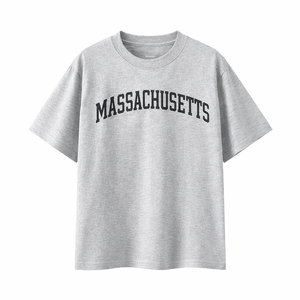 Massachusetts State Pride T-Shirt in White Gray / Navy