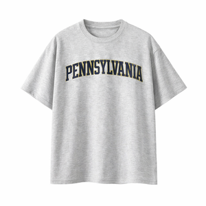 Pennsylvania State Pride T-Shirt in White Gray / Navy