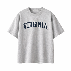 Virginia State Pride T-Shirt in White Gray / Navy