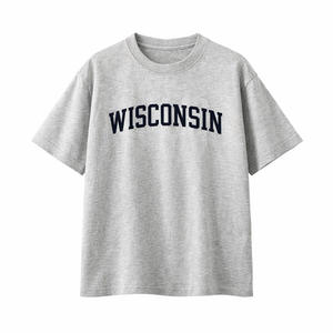 Wisconsin State Pride T-Shirt in White Gray / Navy