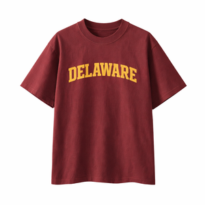 Delaware State Pride T-Shirt in Wine Gray / Cream