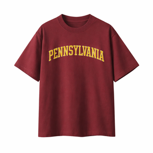 Pennsylvania State Pride T-Shirt in Wine Gray / Gold