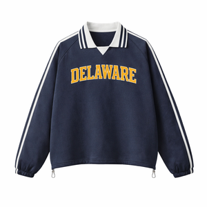 Delaware College Varsity Sweatshirt in Royal Blue / Gold