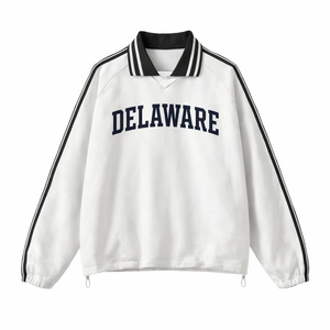 Delaware College Varsity Sweatshirt in White / Navy