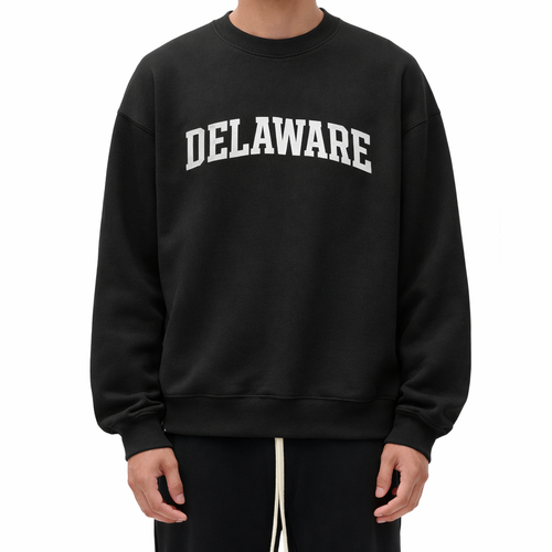 Delaware Crewneck Sweatshirt in Black / White — lifestyle 1