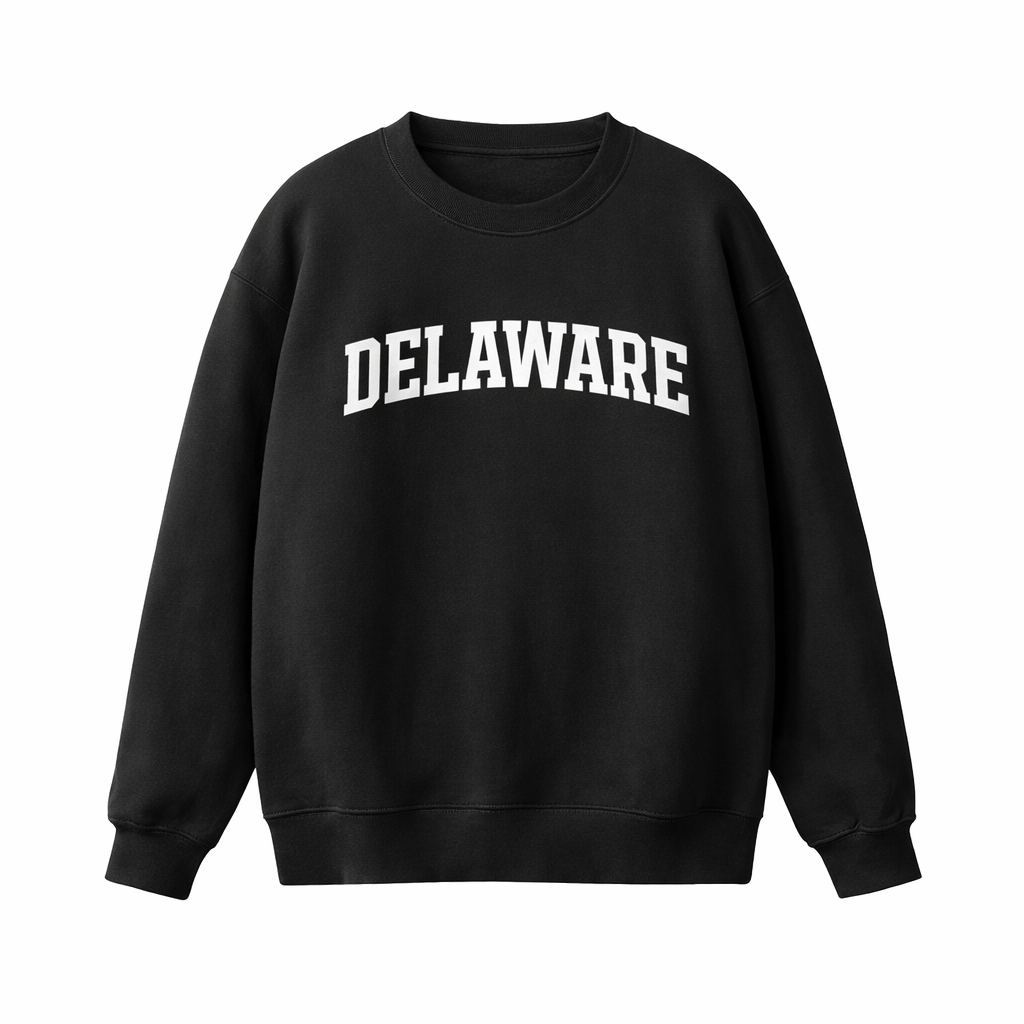 Delaware Crewneck Sweatshirt in Black / White