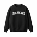 Delaware Crewneck Sweatshirt in Black / White
