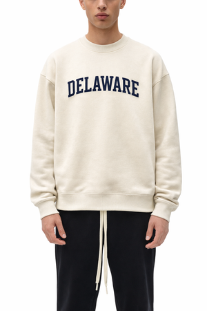 Delaware Crewneck Sweatshirt in Cream / Navy — lifestyle 1