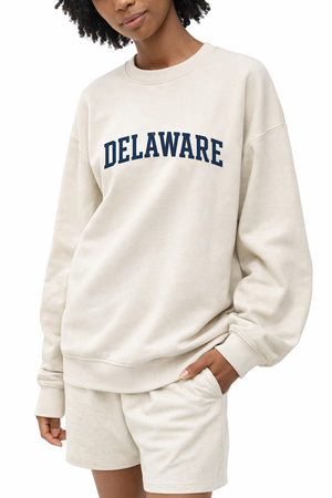 Delaware Crewneck Sweatshirt in Cream / Navy — lifestyle 2