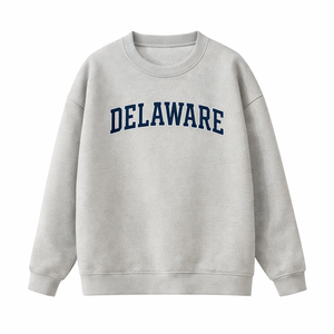Delaware Crewneck Sweatshirt in Gray / Navy
