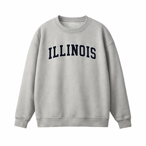 Illinois Crewneck Sweatshirt in Gray / Navy