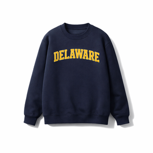 Delaware Crewneck Sweatshirt in Navy / Gold