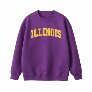 Illinois Crewneck Sweatshirt in Purple / Gold
