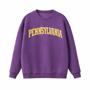 Pennsylvania Crewneck Sweatshirt in Purple / Gold