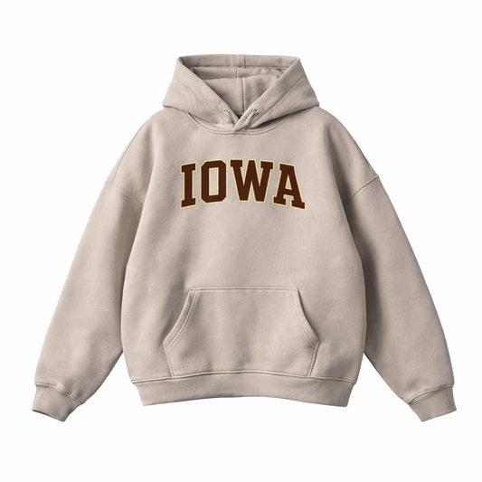Collection 1 Iowa Oversize Fleeced Hoodie - Gray Apricot front