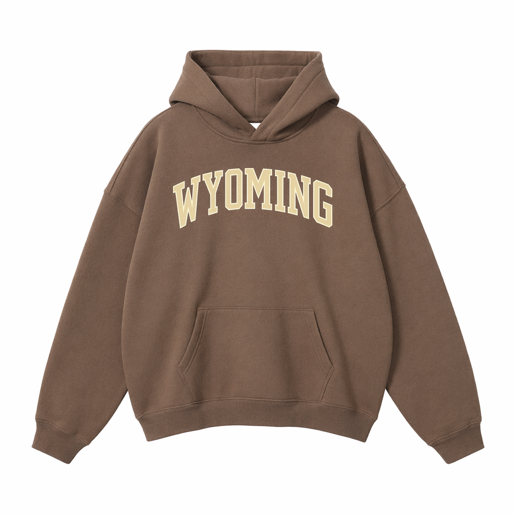Collection 1 Wyoming Oversize Fleeced Hoodie - Brown front