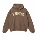 Collection 1 Wyoming Oversize Fleeced Hoodie - Brown front
