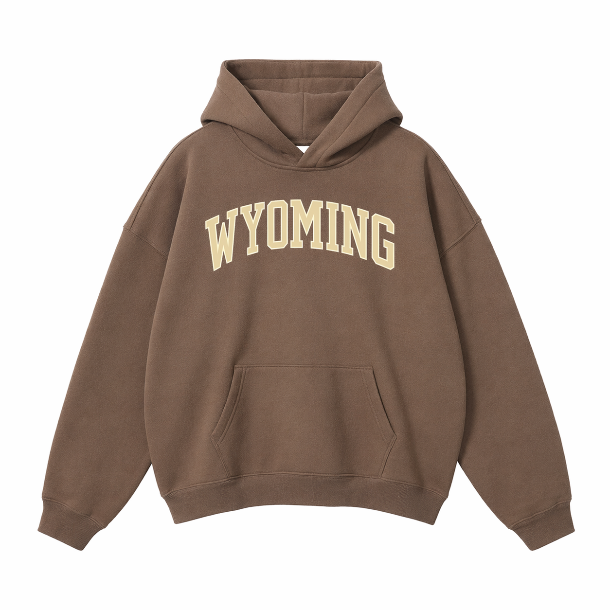 Collection 1 Wyoming Oversize Fleeced Hoodie - Brown front