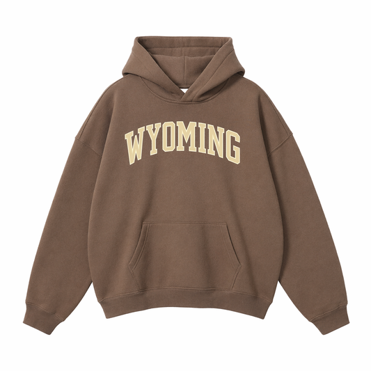 Collection 1 Wyoming Oversize Fleeced Hoodie - Brown front