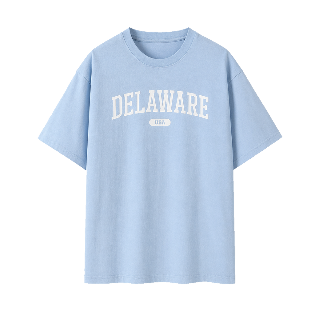 Collection 4 Delaware Essential Cotton T-Shirt - Light Blue front