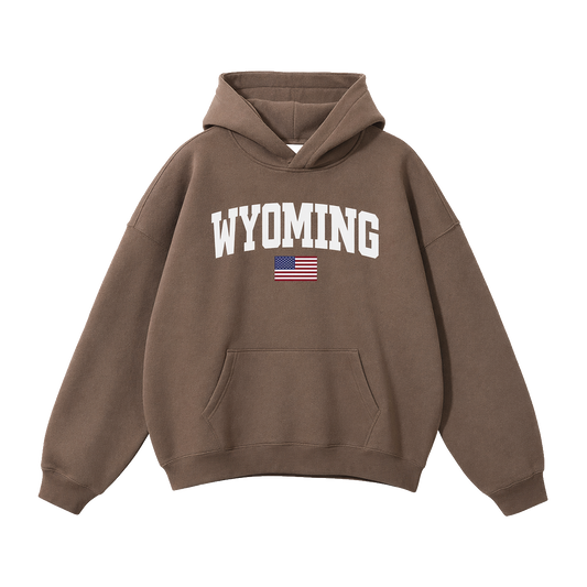 Collection 2 Wyoming Oversize Fleeced Hoodie - Brown front