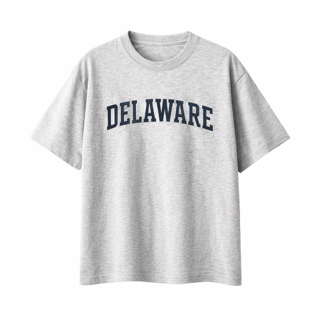 Collection 1 Delaware Essential Cotton T-Shirt - White Gray front