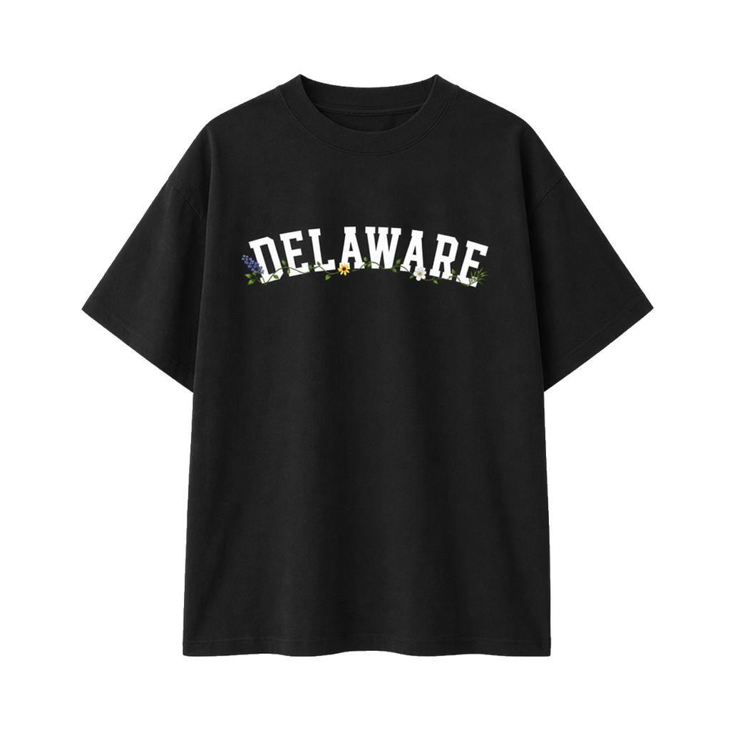 Collection 10 Delaware Essential Cotton T-Shirt - Black front