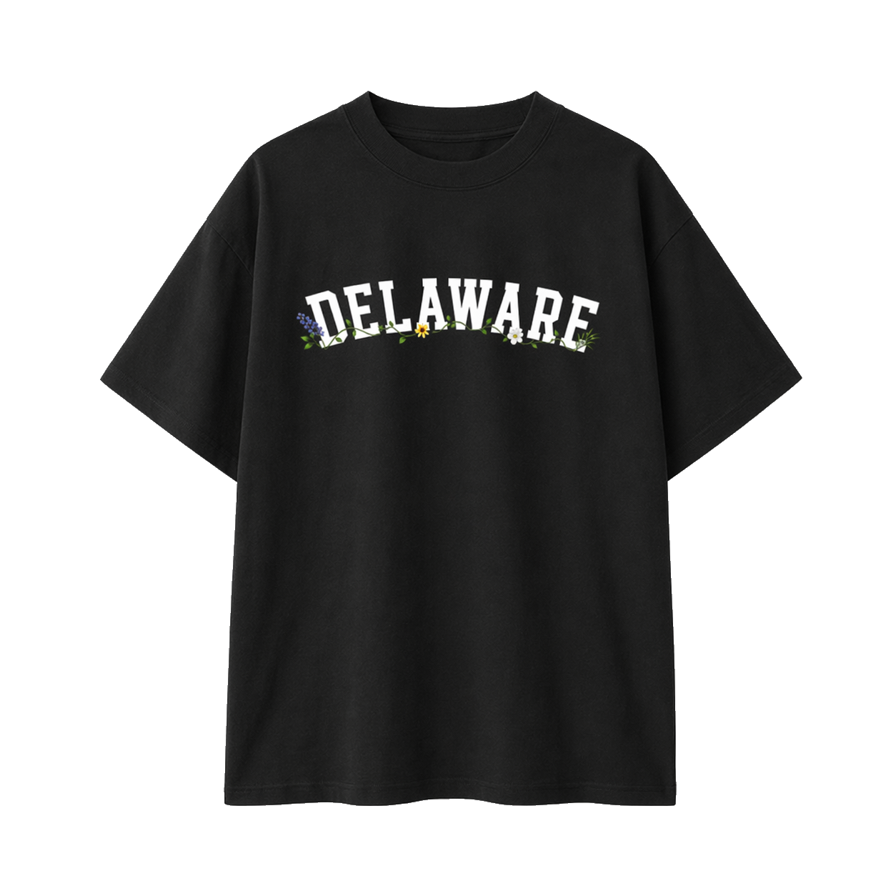Collection 10 Delaware Essential Cotton T-Shirt - Black front