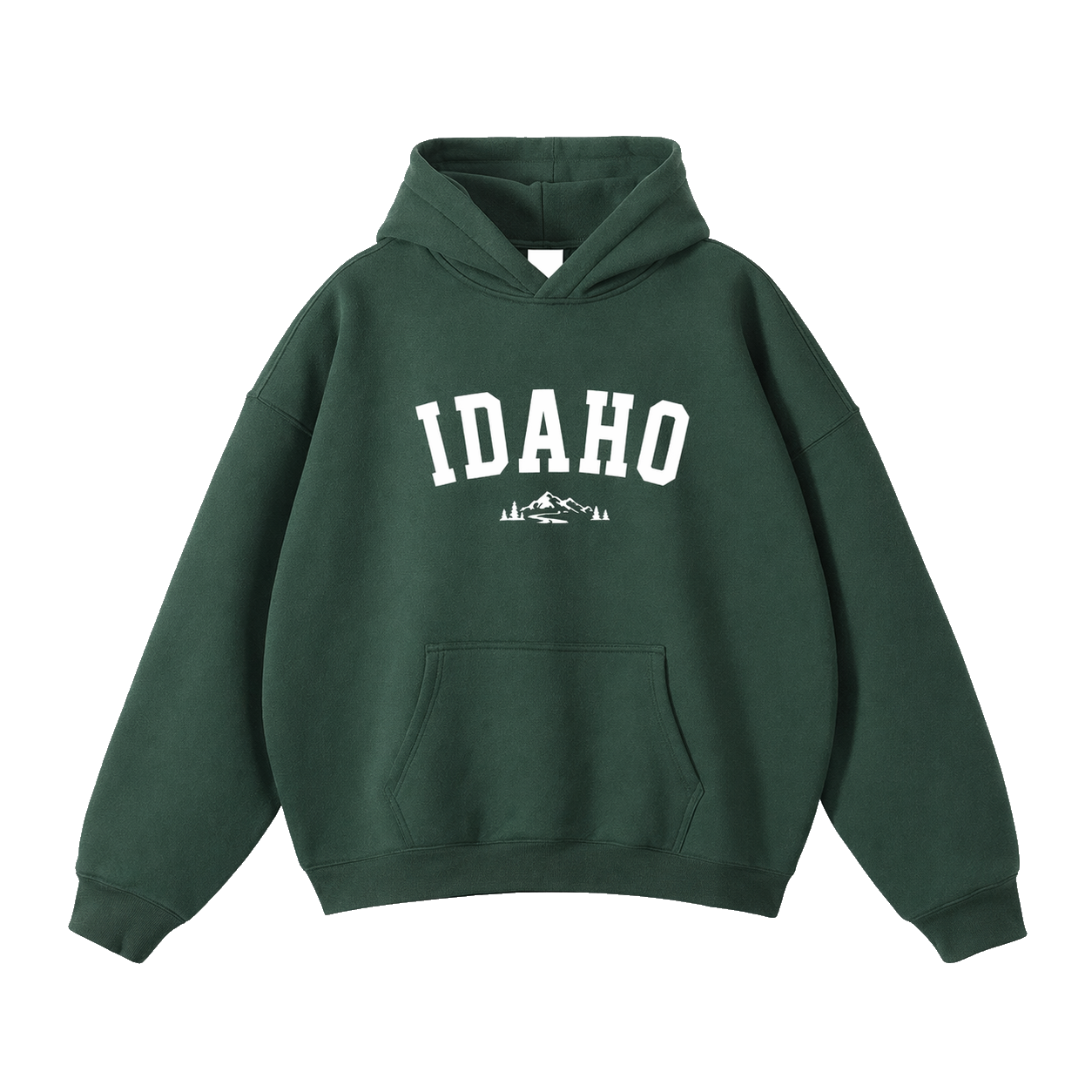 Collection 9 Idaho Oversize Fleeced Hoodie - Eden Green front