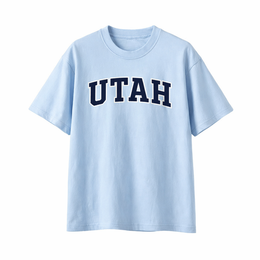 Collection 1 Utah Essential Cotton T-Shirt - Light Blue front