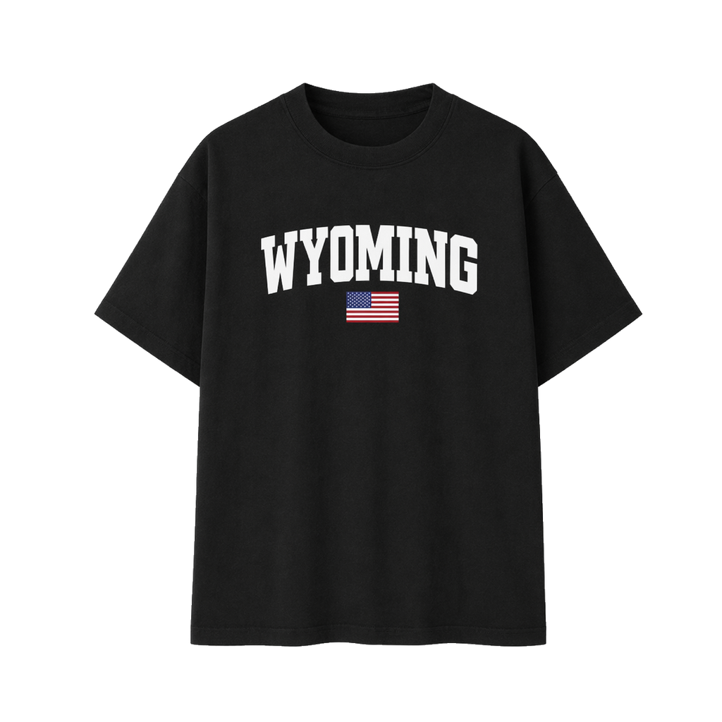 Collection 2 Wyoming Essential Cotton T-Shirt - Black front