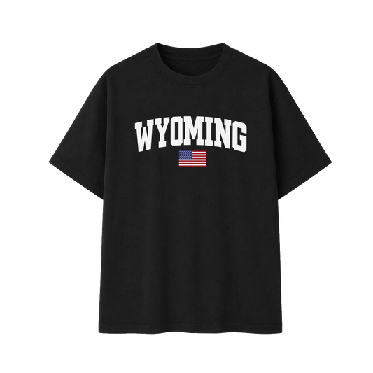 Collection 2 Wyoming Essential Cotton T-Shirt - Black front