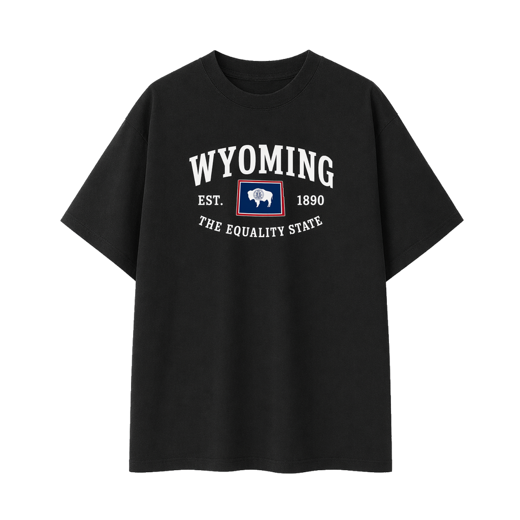 Collection 8 Wyoming Essential Cotton T-Shirt - Black front