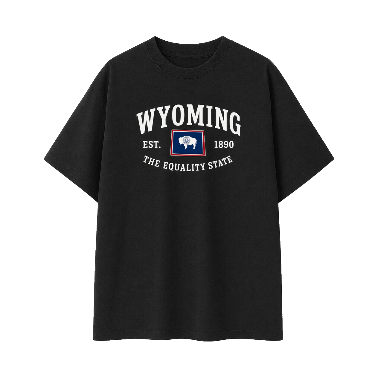 Collection 8 Wyoming Essential Cotton T-Shirt - Black front