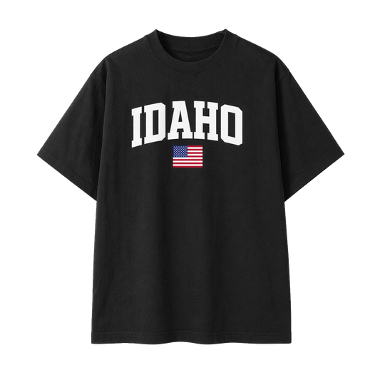 Collection 2 Idaho Essential Cotton T-Shirt - Black front