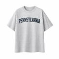 Collection 1 Pennsylvania Essential Cotton T-Shirt - White Gray front