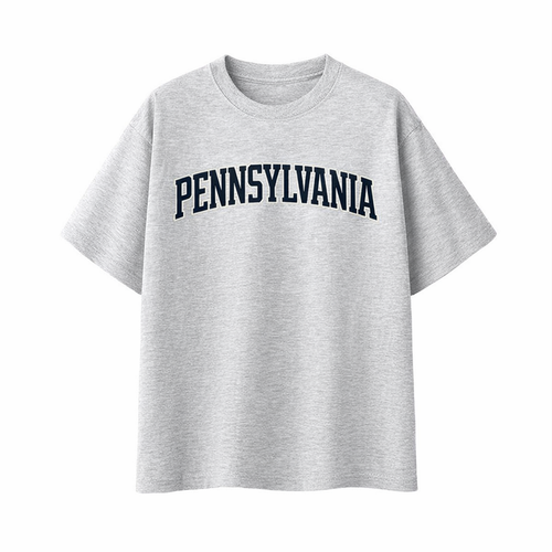 Collection 1 Pennsylvania Essential Cotton T-Shirt - White Gray front