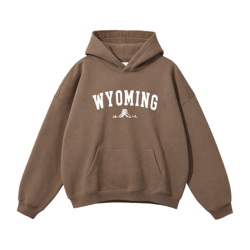 Collection 9 Wyoming Oversize Fleeced Hoodie - Brown front