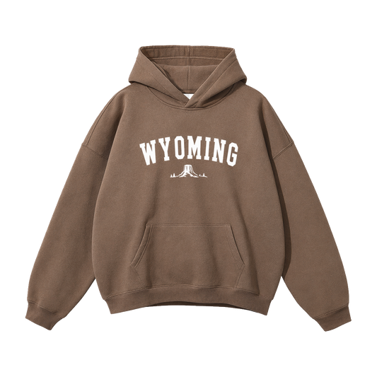 Collection 9 Wyoming Oversize Fleeced Hoodie - Brown front