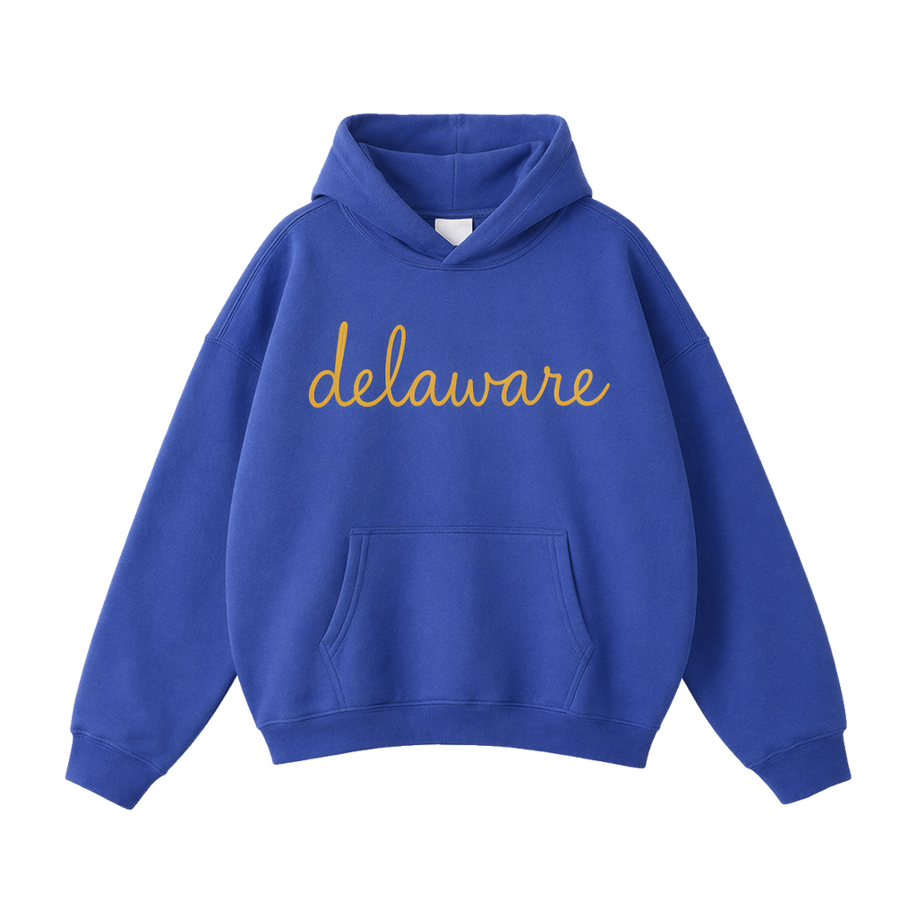 Collection 3 Delaware Oversize Fleeced Hoodie - Klein Blue front