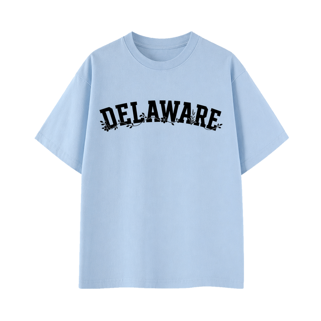 Collection 10 Delaware Essential Cotton T-Shirt - Light Blue front