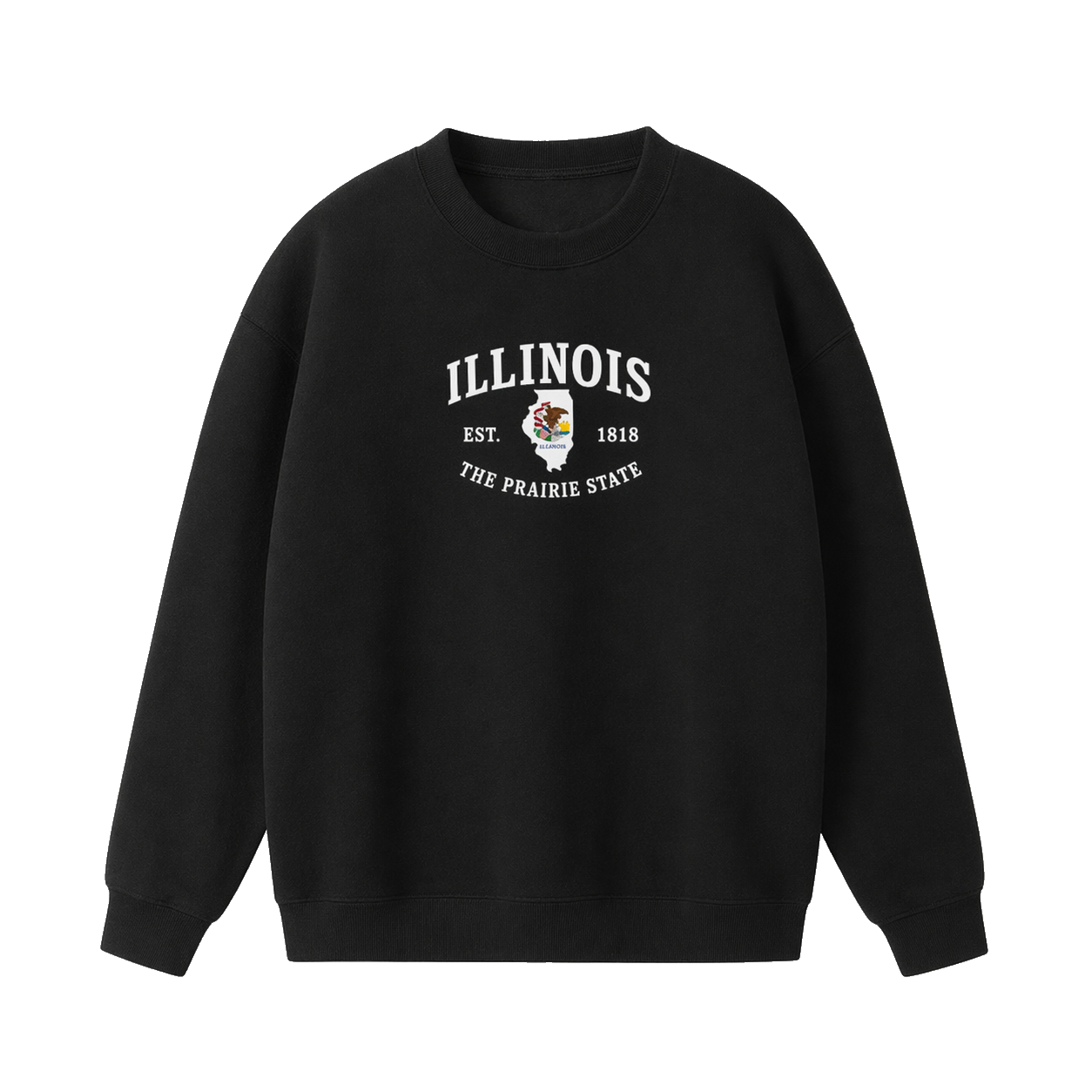 Collection 8 Illinois Essential Heavyweight Crewneck Sweatshirt - Black front