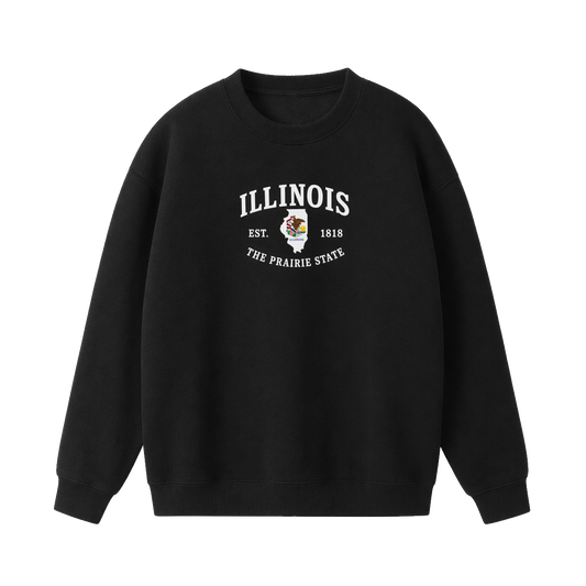 Collection 8 Illinois Essential Heavyweight Crewneck Sweatshirt - Black front